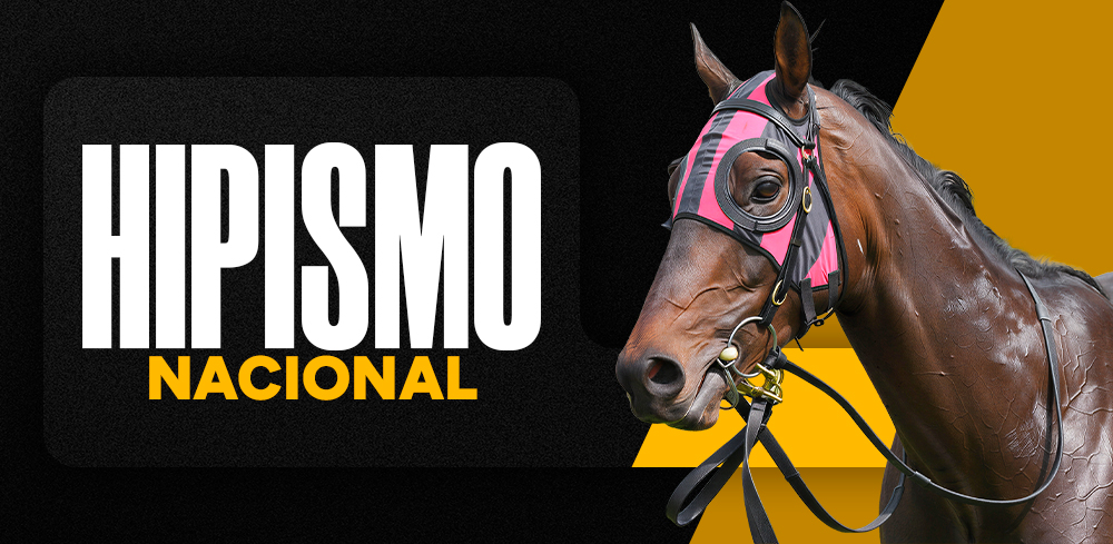 Hipismo nacional