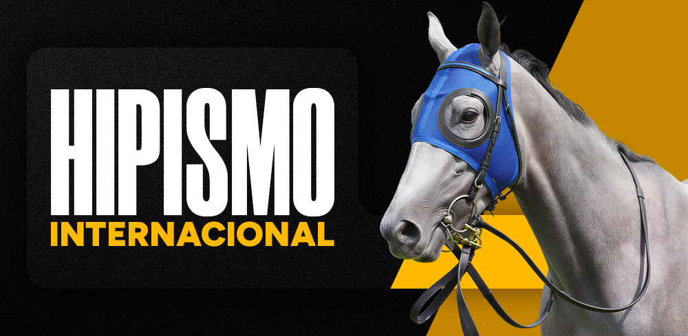 Hipismo Internacional