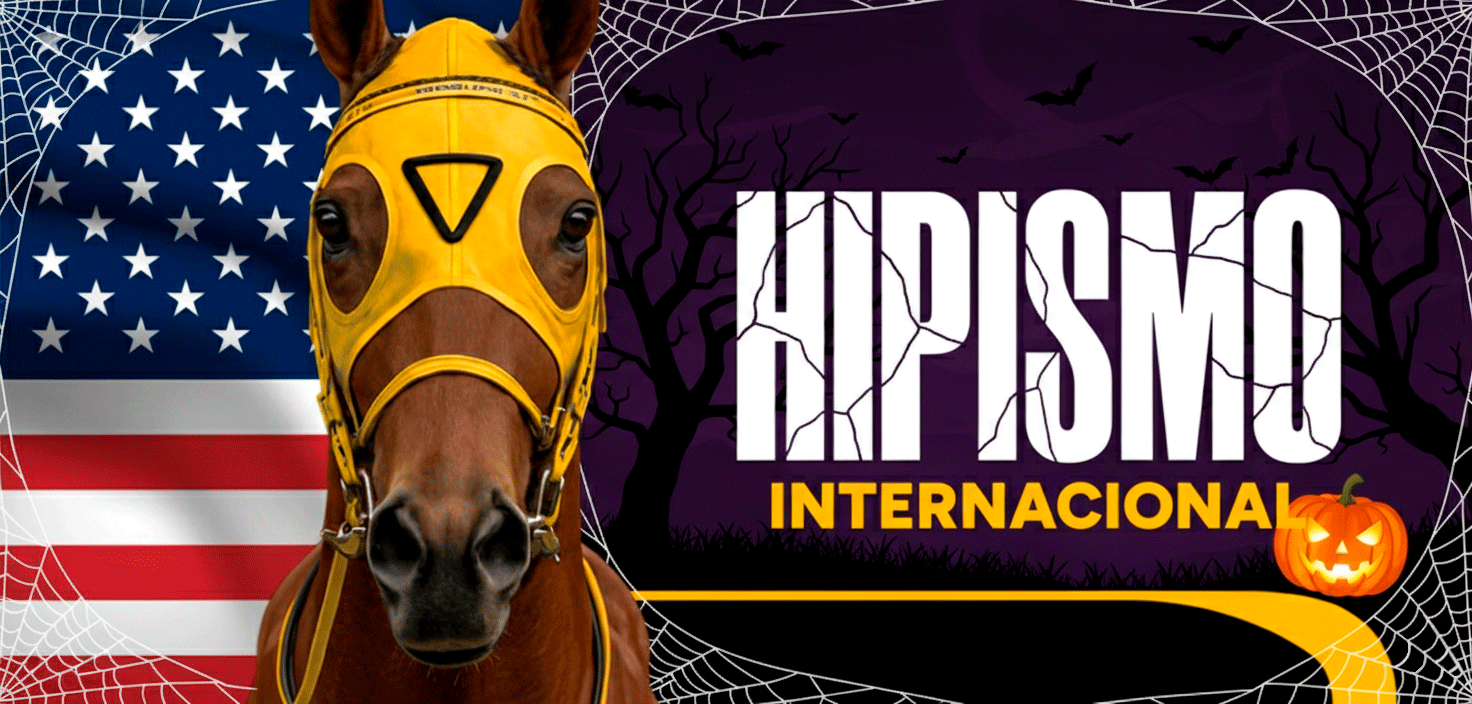 Hipismo Internacional